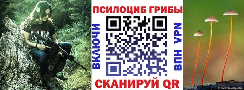 Галлюциногенные грибы ЛСД кракен ТОР Талица